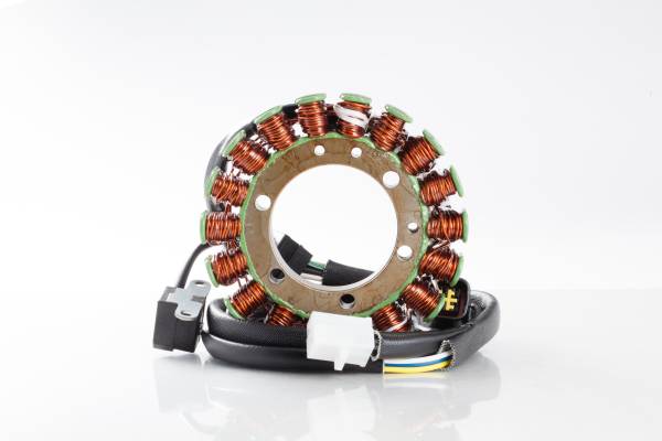 RICKS - STATOR - Image 1