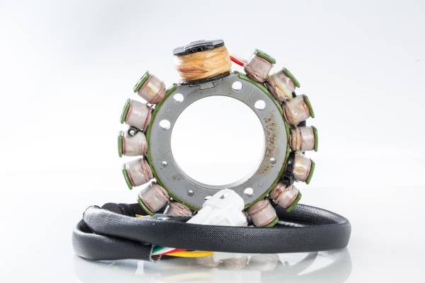 RICKS - STATOR - Image 1