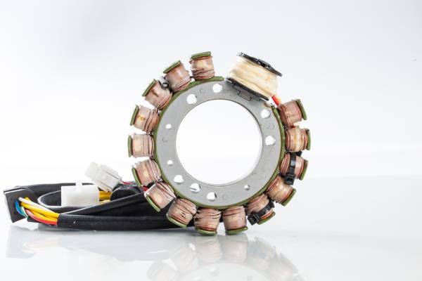 RICKS - STATOR - Image 1