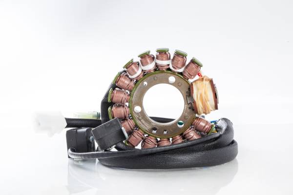 RICKS - STATOR - Image 1