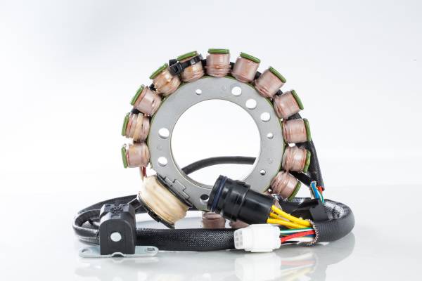 RICKS - STATOR - Image 1