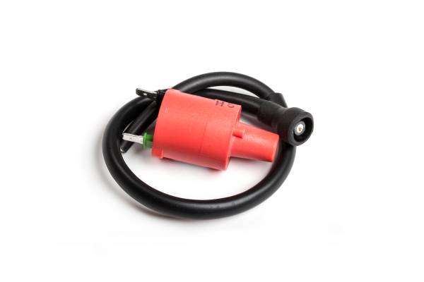 RICKS - IGNITION COIL - Image 1