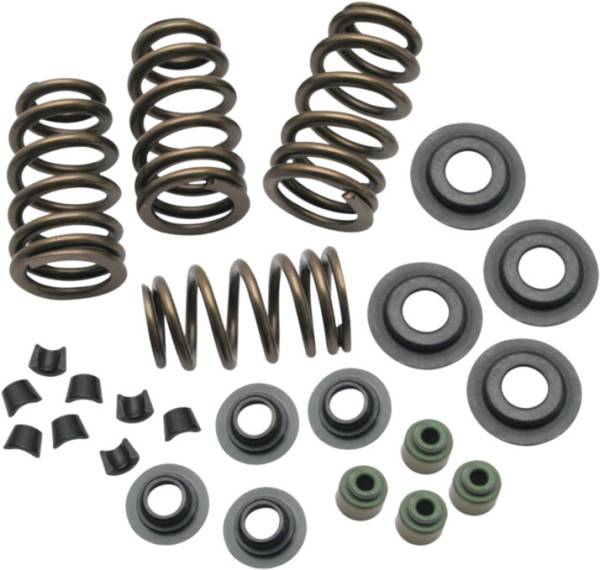 ROCKET PERFORMANCE GARAGE LLC - BEEHIVE CONVERSION SPRING KIT EVO BT 84-03 .650 LIFT - Image 1