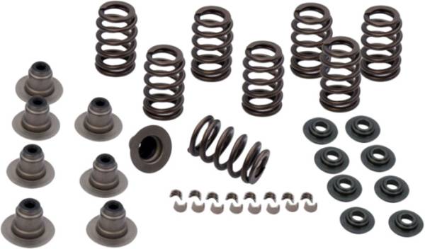 ROCKET PERFORMANCE GARAGE LLC - SPRING KIT .650 LIFT TC 04-17 XL 04-18 - Image 1