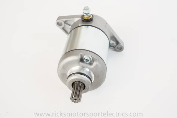 RICKS - STARTER MOTOR - Image 1