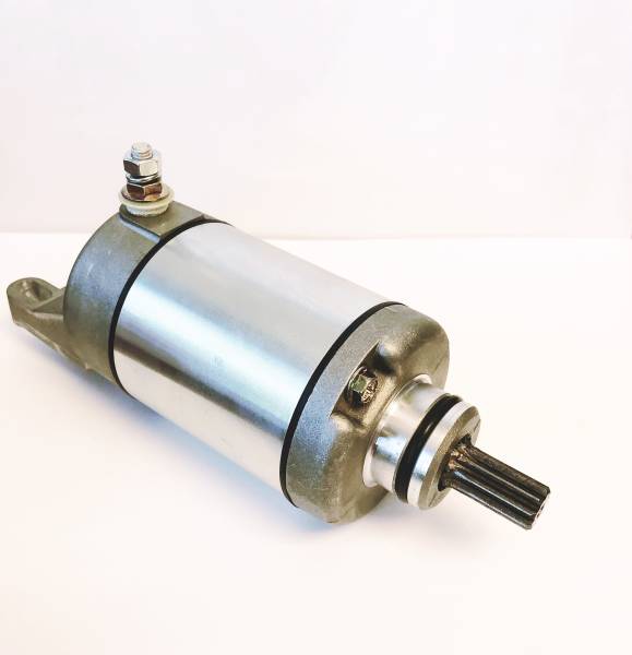 RICKS - STARTER MOTOR - Image 1