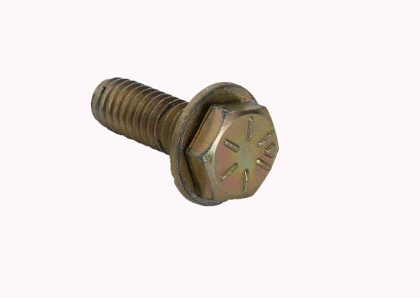 SYSTEM 3 - BEADLOCK 5/16" BOLT (20 PCS) CADMIUM (GOLD) - Image 1