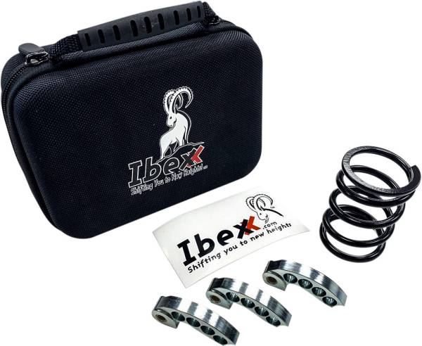 IBEXX - CLUTCH KIT AXYS 800 STAGE 1 - Image 1