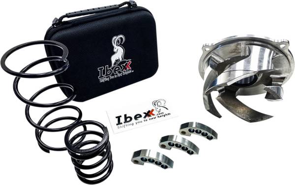 IBEXX - CLUTCH KIT AXYS 800 STAGE 3 - Image 1