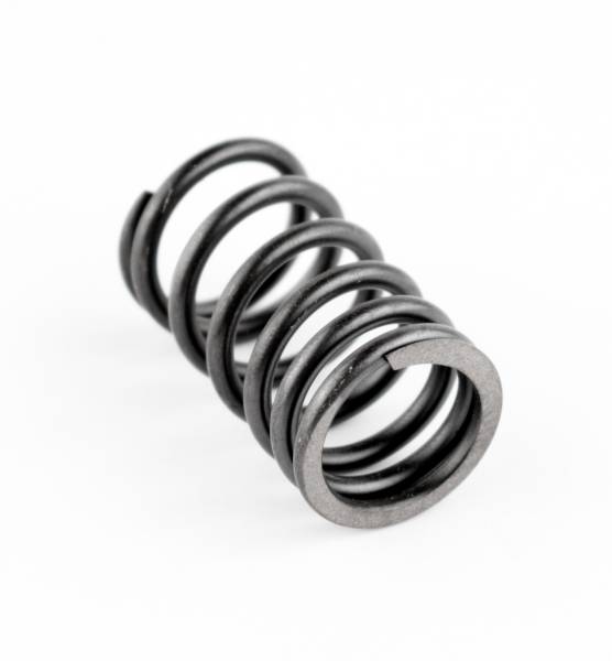 WSM - VALVE SPRING OUTER S-D - Image 1