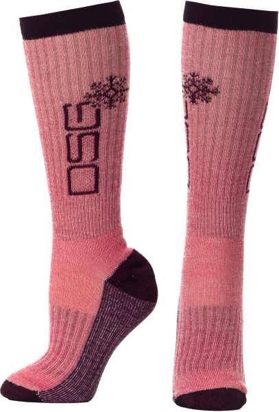 DSG - HEAVYWEIGHT SOCKS BERRY - Image 1