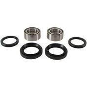 PIVOT WORKS - FRONT WHEEL BEARING KIT - Image 1