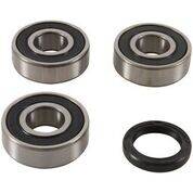 PIVOT WORKS - REAR WHEEL BEARING KIT - Image 1