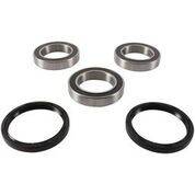 PIVOT WORKS - REAR WHEEL BEARING KIT - Image 1