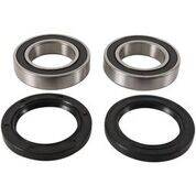 PIVOT WORKS - REAR WHEEL BEARING KIT - Image 1