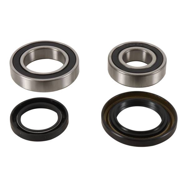 PIVOT WORKS - REAR WHEEL BEARING KIT - Image 1