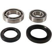 PIVOT WORKS - REAR WHEEL BEARING KIT - Image 1