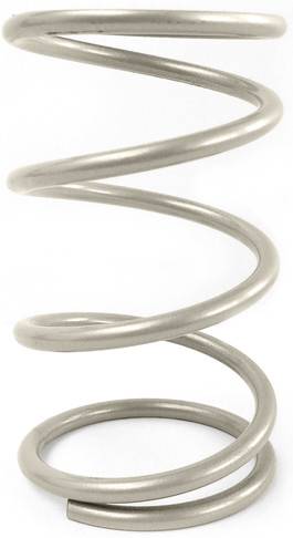 EPI - CLUTCH SPRING - Image 1