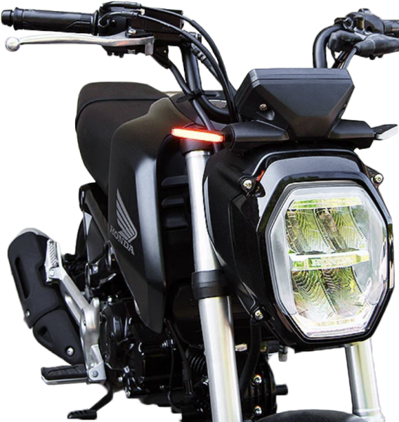 NEW RAGE CYCLES - FRONT LED TURN SIGNALS HON - Image 1