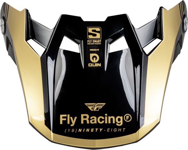 FLY RACING - FORMULA S CARBON LEGACY VISOR BLACK/GOLD YL/SM - Image 1