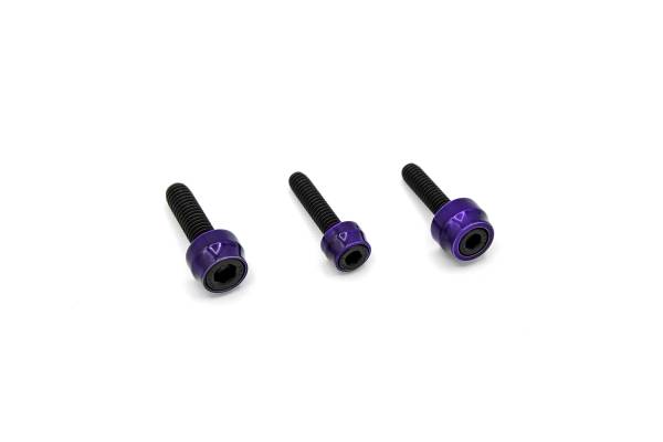 SANTORO FABWORX - CHACHO'S BOLT KIT PURPLE M8 ENG TRANS PRIM BLK - Image 1