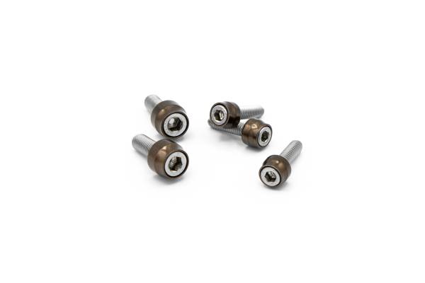 SANTORO FABWORX - CHACHO BOLT KIT BRONZE TWIN CAM ENG TRANS PRIM - Image 1