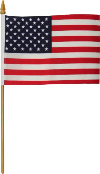 HARDDRIVE - REPLACEMENT FLAG 4X6 NO MOUNT - Image 1