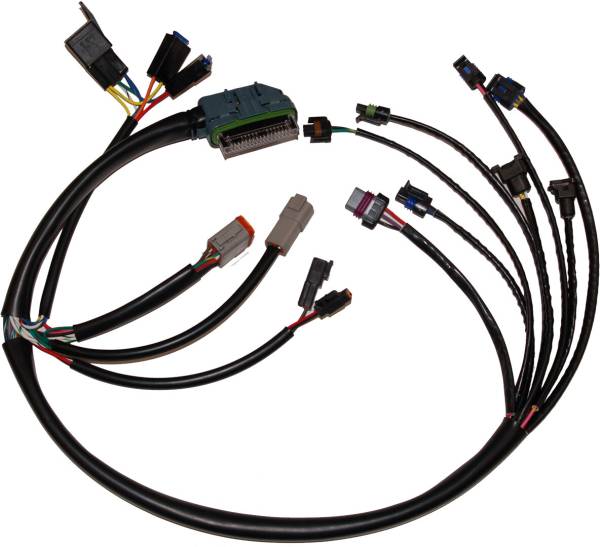 NAMZ CUSTOM CYCLE - COMPLETE EFI HARNESS 02-03 - Image 1