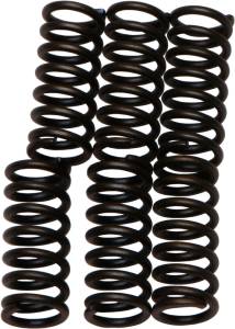 CLUTCH SPRINGS