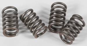 CLUTCH SPRINGS