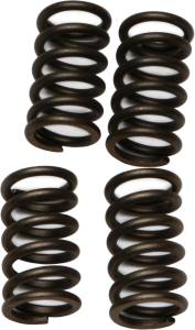 CLUTCH SPRINGS