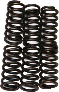 CLUTCH SPRINGS