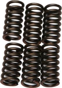 CLUTCH SPRINGS