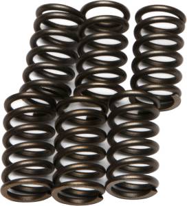 CLUTCH SPRINGS