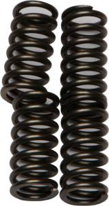 CLUTCH SPRINGS