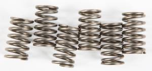 CLUTCH SPRINGS