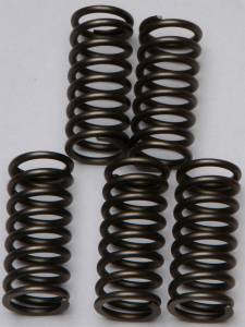 CLUTCH SPRINGS