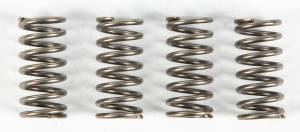 CLUTCH SPRINGS