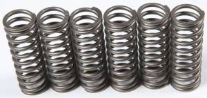 CLUTCH SPRINGS