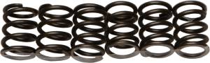 CLUTCH SPRINGS