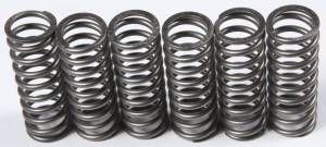 CLUTCH SPRINGS