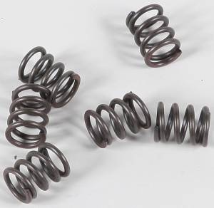 CLUTCH SPRINGS