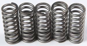 CLUTCH SPRINGS