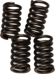 CLUTCH SPRINGS