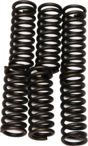 CLUTCH SPRINGS