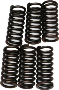 CLUTCH SPRINGS