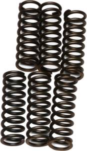 CLUTCH SPRINGS