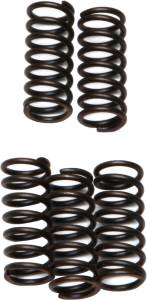 CLUTCH SPRINGS