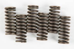 CLUTCH SPRINGS