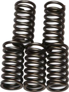 CLUTCH SPRINGS